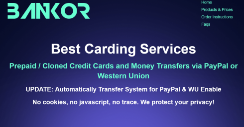 Prepaid Card | Cloned Credit Cards and Money Transfers 
via PayPal or Western Union